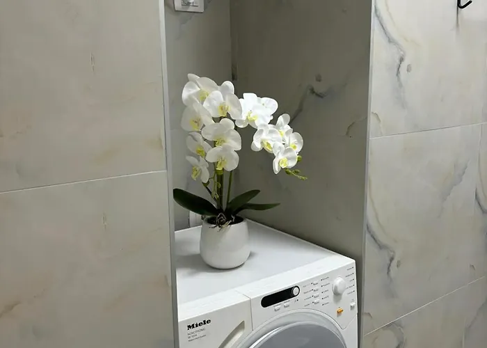 Gloria Prestige * Тирана